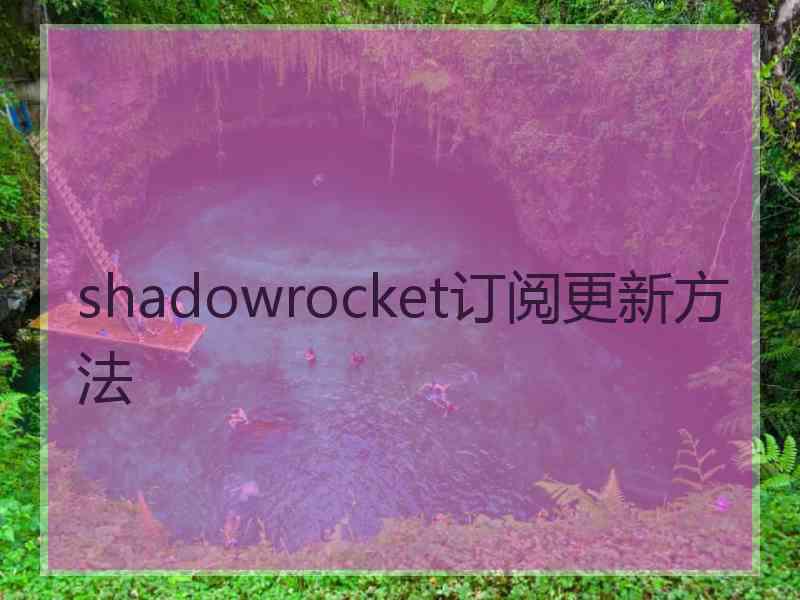 shadowrocket订阅更新方法