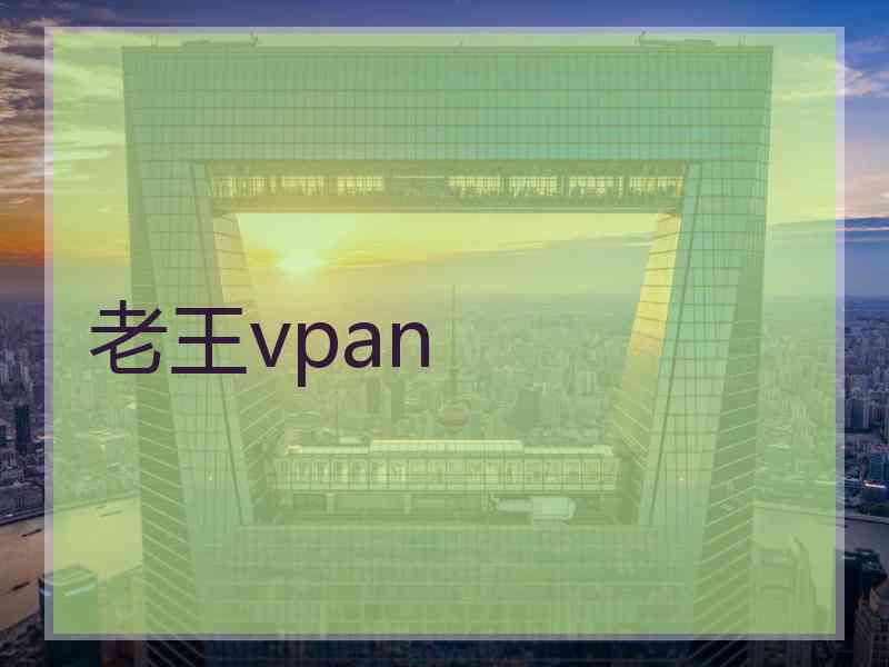 老王vpan