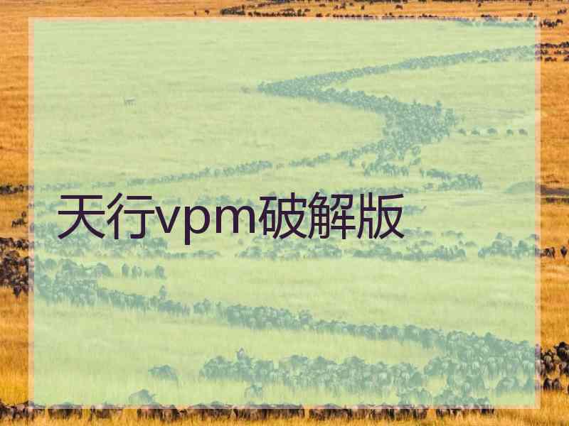 天行vpm破解版