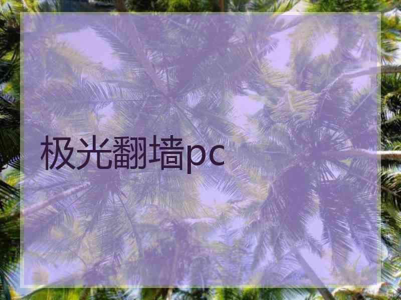 极光翻墙pc