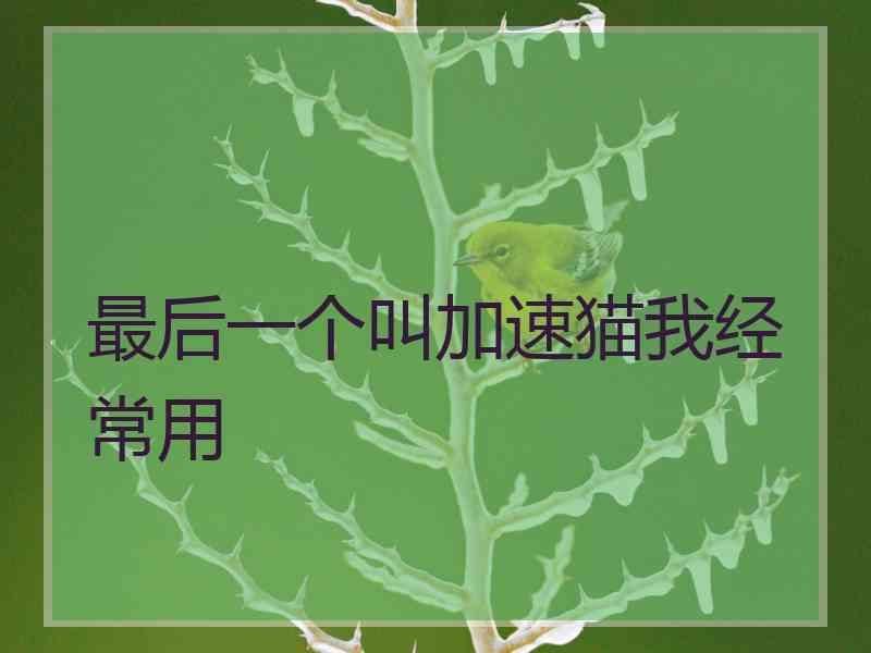 最后一个叫加速猫我经常用