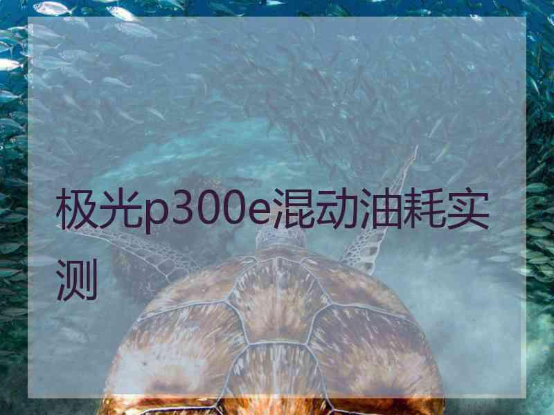 极光p300e混动油耗实测