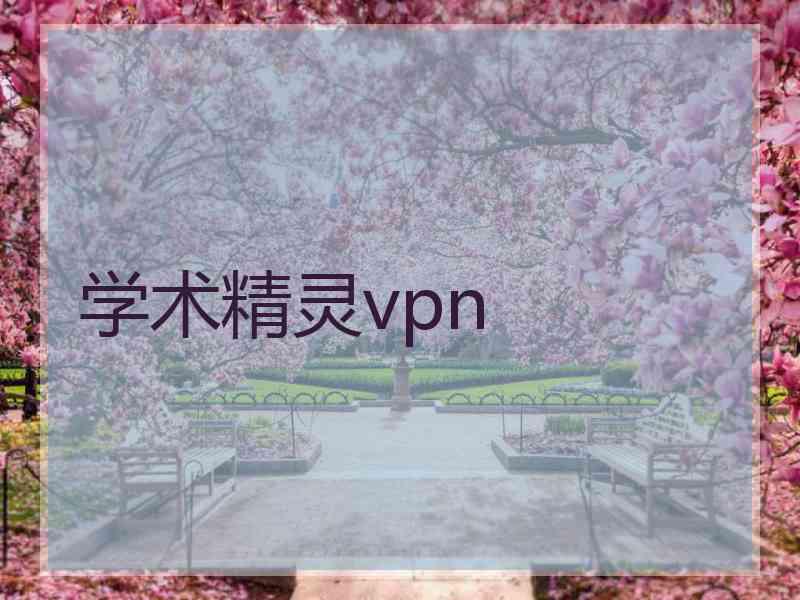 学术精灵vpn