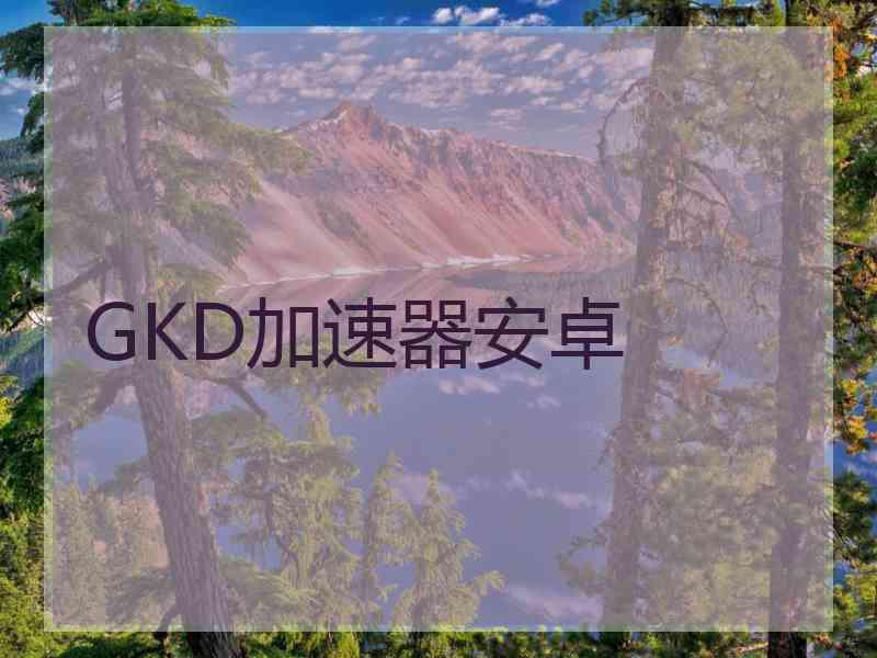 GKD加速器安卓