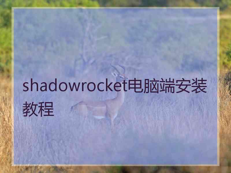 shadowrocket电脑端安装教程