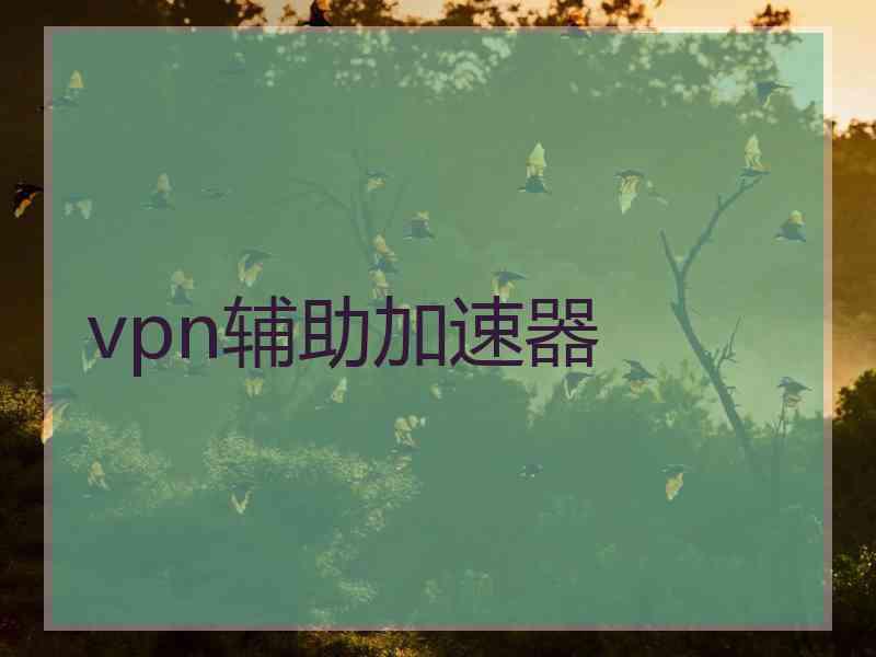 vpn辅助加速器