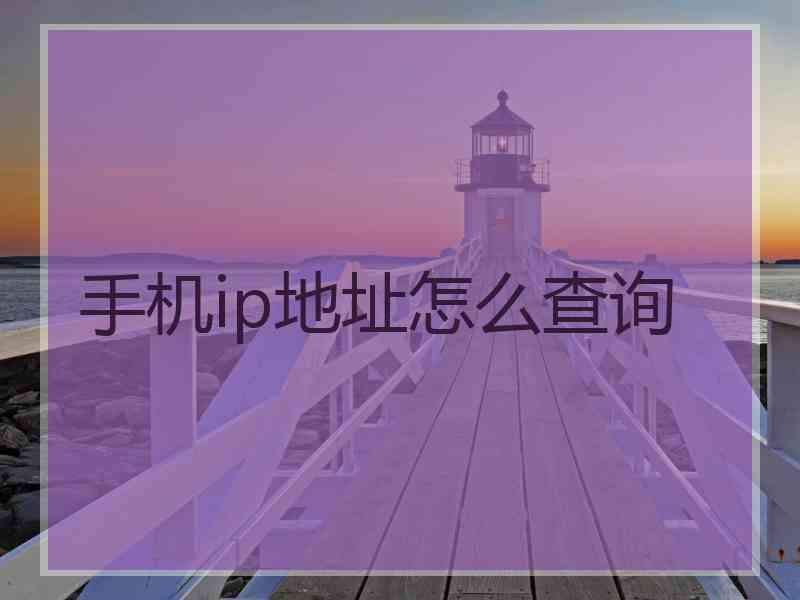 手机ip地址怎么查询