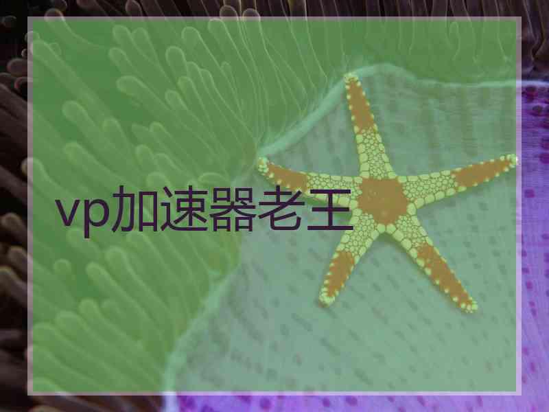 vp加速器老王