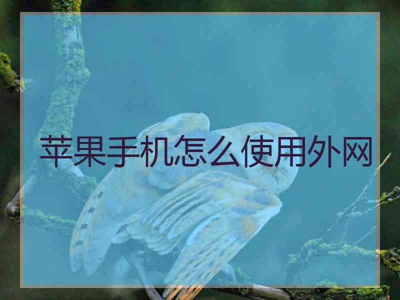 苹果手机怎么使用外网