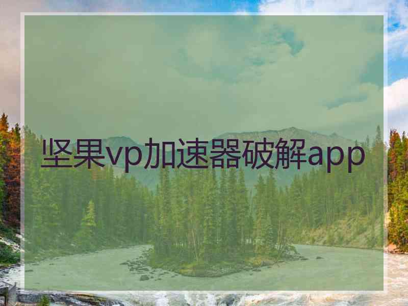 坚果vp加速器破解app