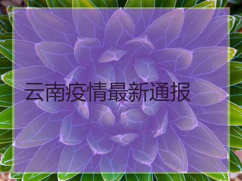 云南疫情最新通报