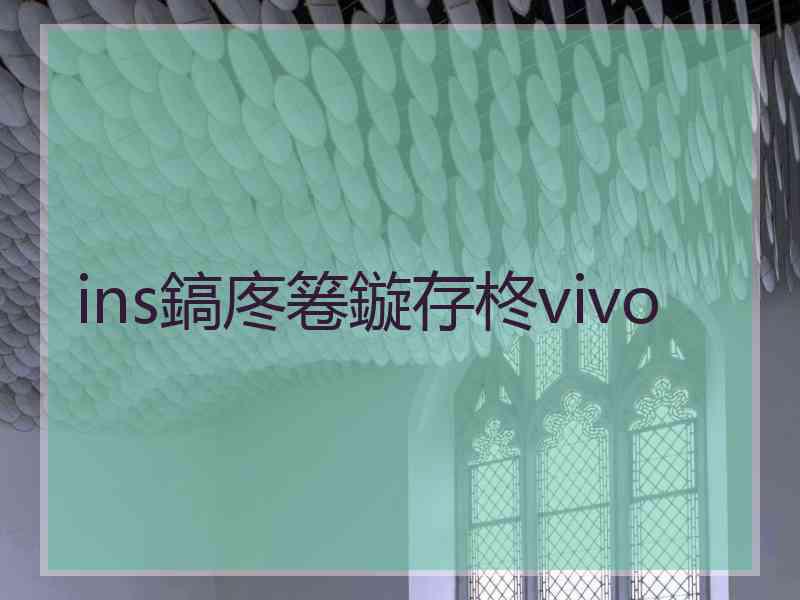 ins鎬庝箞鏇存柊vivo