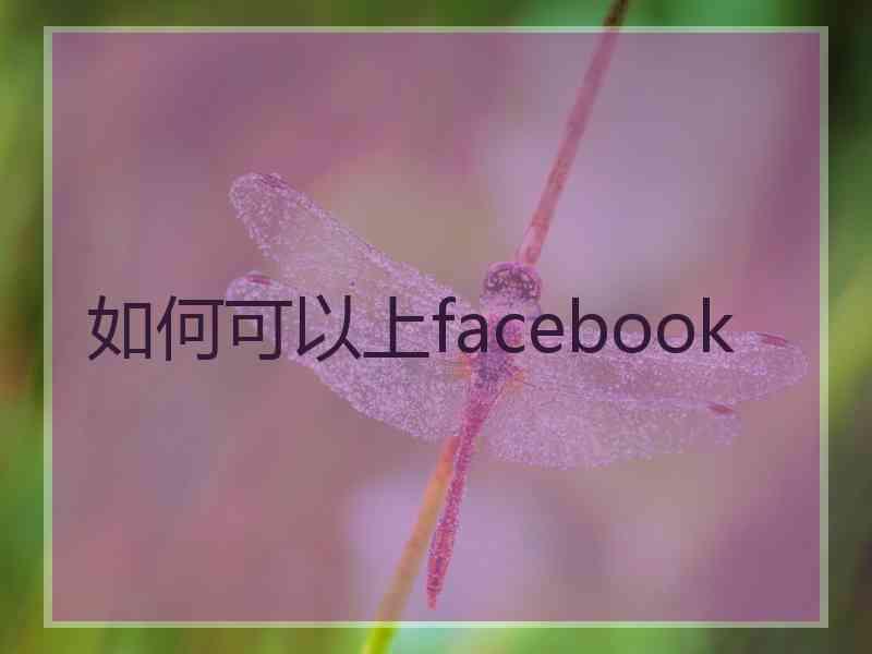 如何可以上facebook