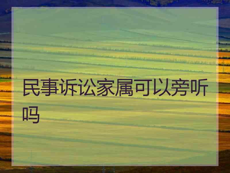 民事诉讼家属可以旁听吗