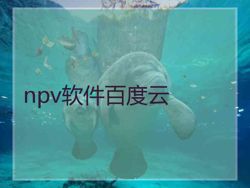 npv软件百度云