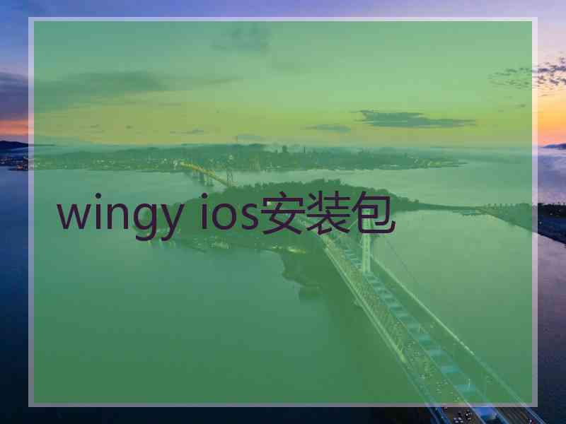 wingy ios安装包