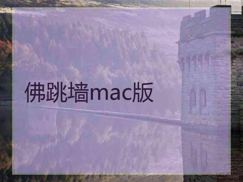 佛跳墙mac版