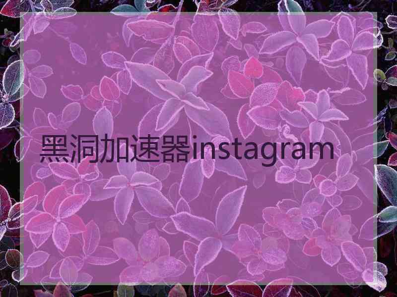 黑洞加速器instagram