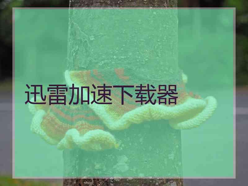 迅雷加速下载器