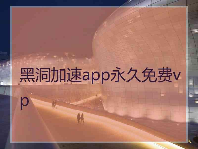 黑洞加速app永久免费vp