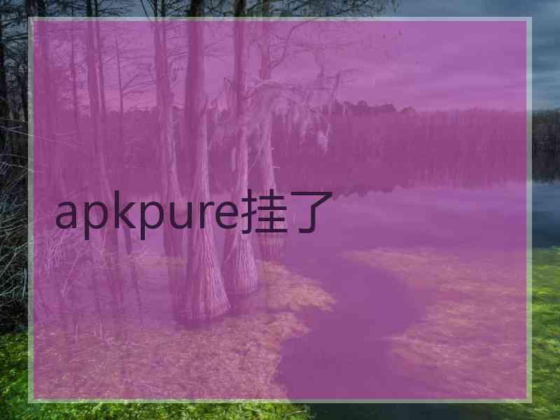 apkpure挂了