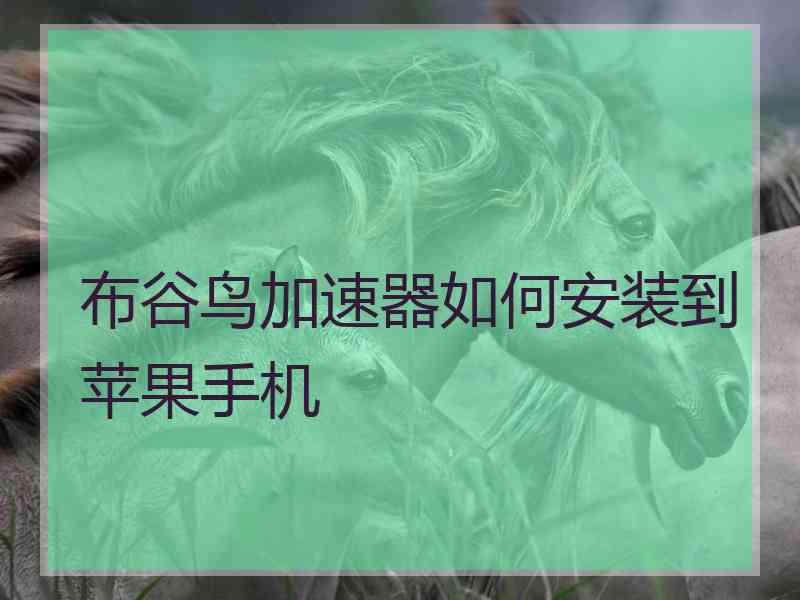 布谷鸟加速器如何安装到苹果手机