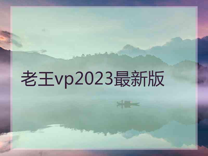 老王vp2023最新版