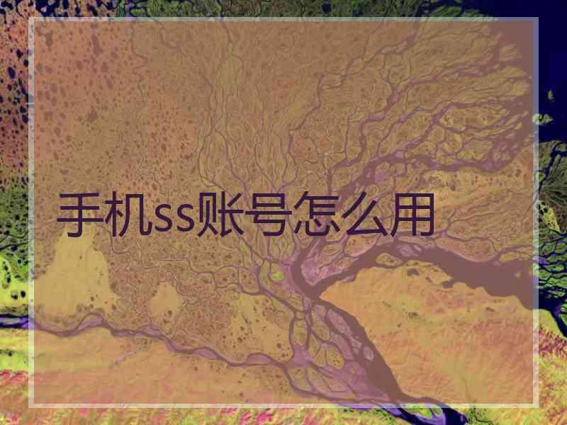 手机ss账号怎么用