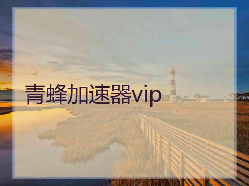 青蜂加速器vip