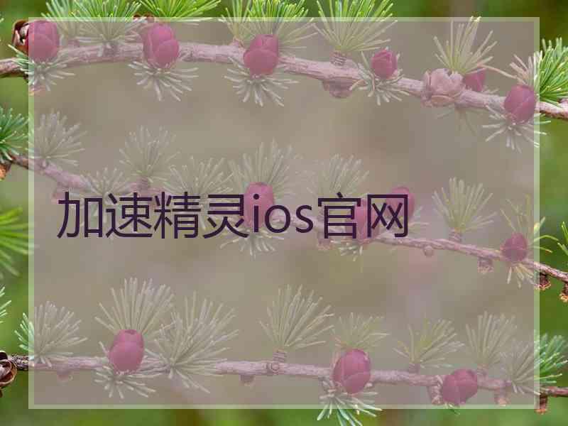 加速精灵ios官网