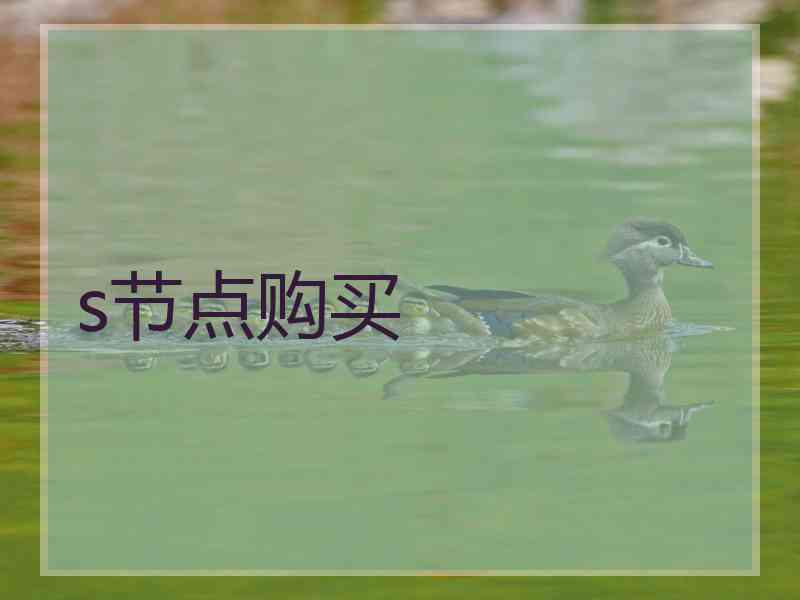 s节点购买
