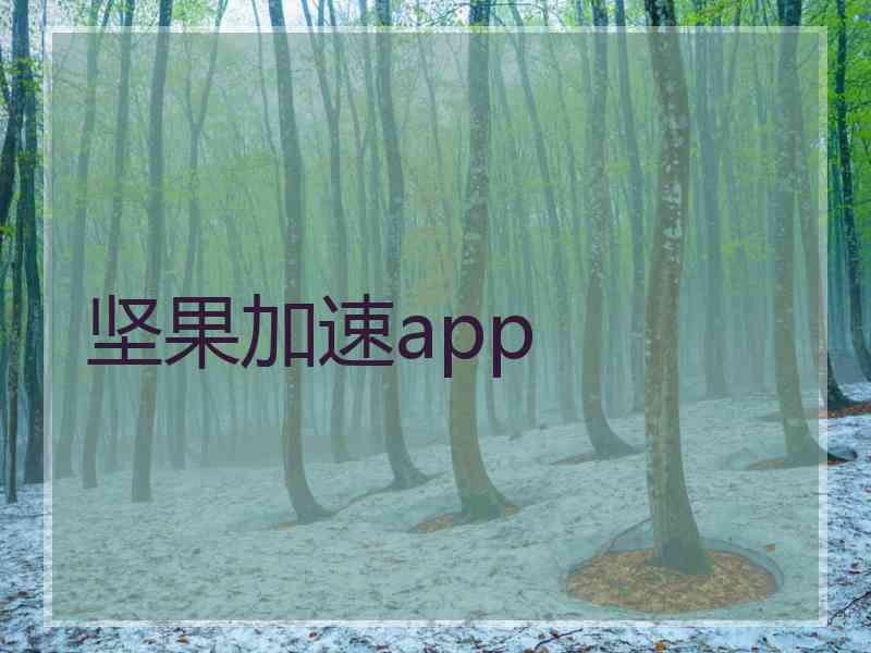 坚果加速app