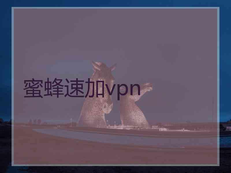 蜜蜂速加vpn