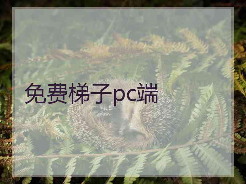 免费梯子pc端