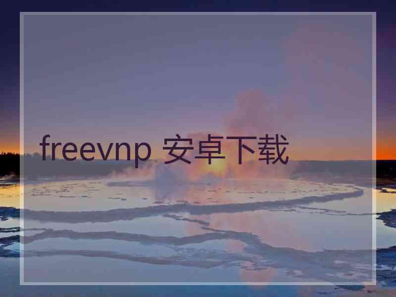 freevnp 安卓下载