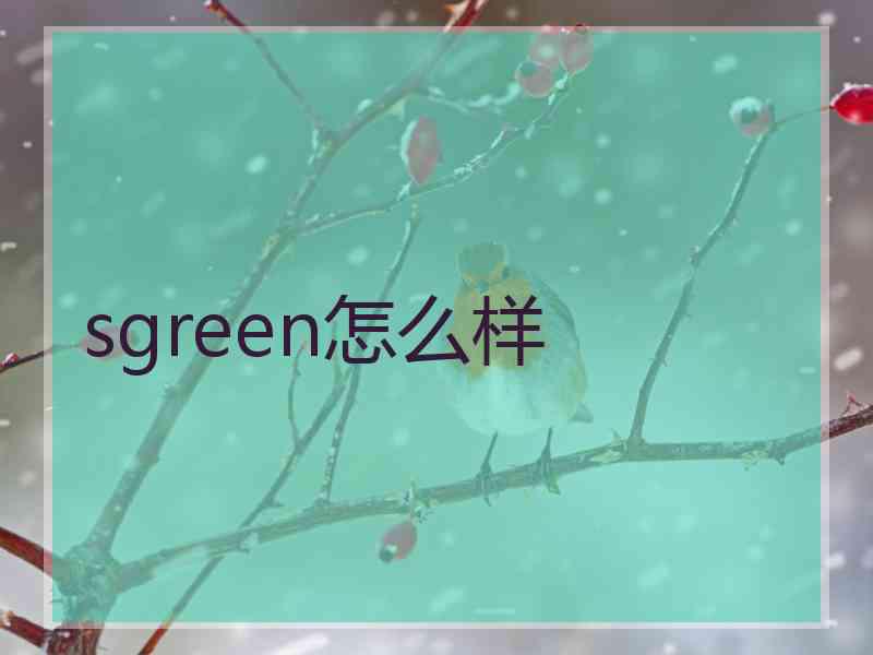 sgreen怎么样