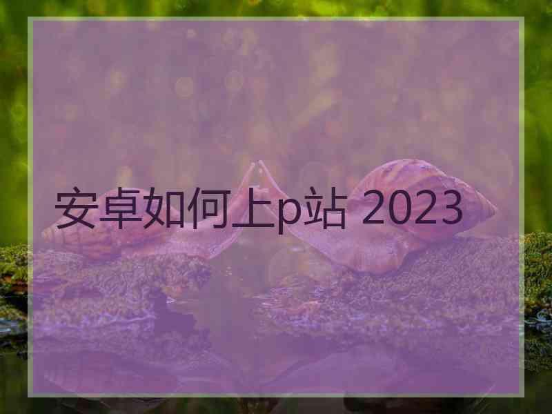 安卓如何上p站 2023