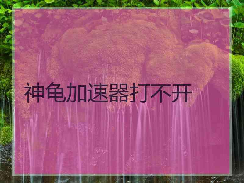 神龟加速器打不开