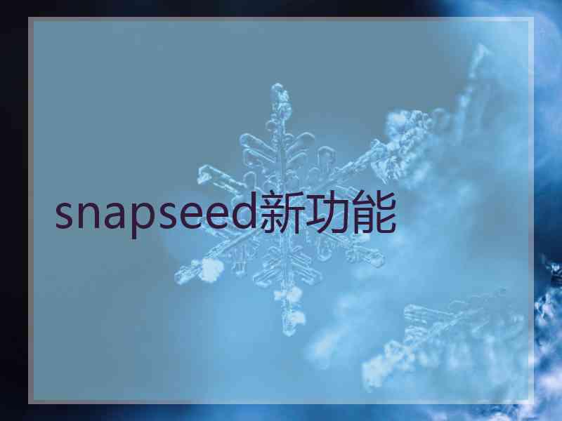 snapseed新功能