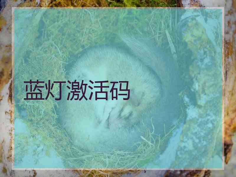 蓝灯激活码