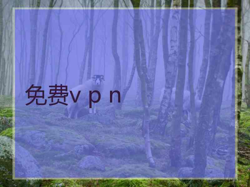 免费v p n