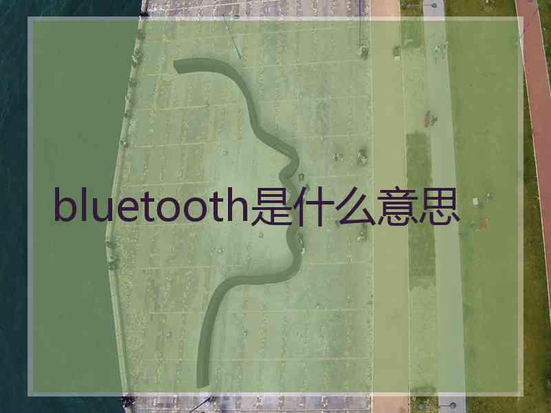 bluetooth是什么意思