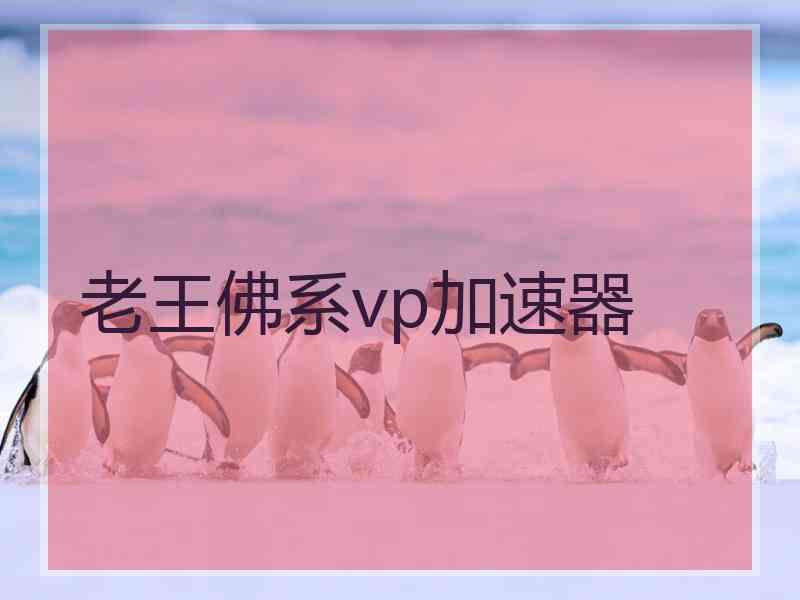 老王佛系vp加速器