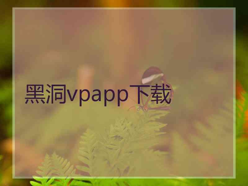 黑洞vpapp下载