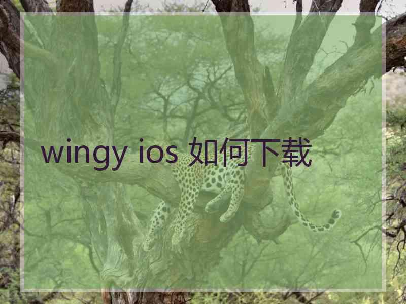 wingy ios 如何下载