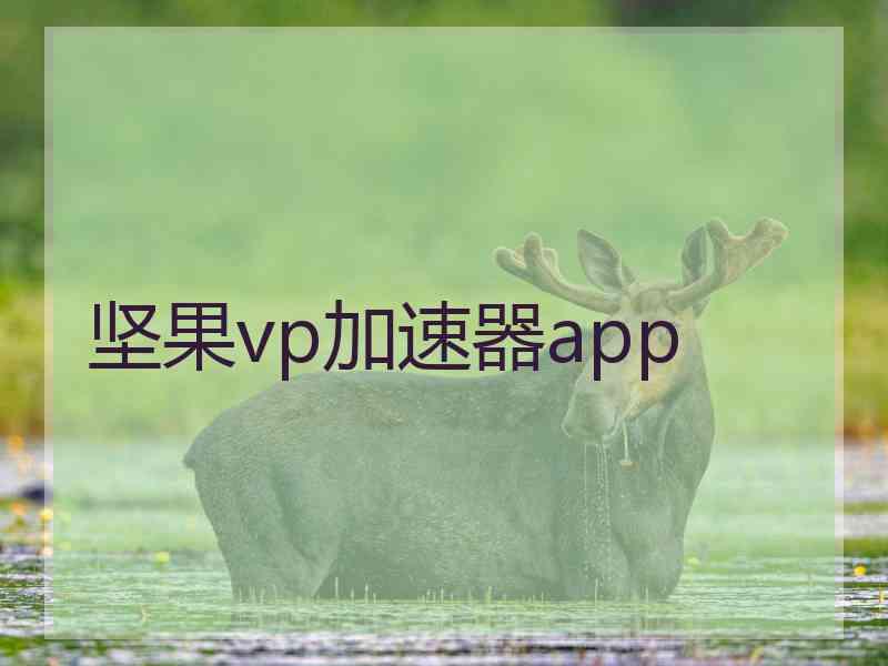 坚果vp加速器app