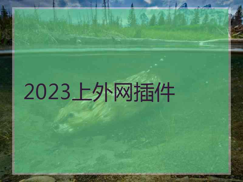 2023上外网插件