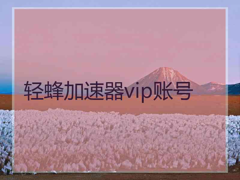 轻蜂加速器vip账号