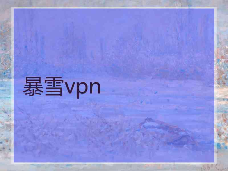 暴雪vpn