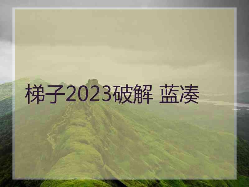 梯子2023破解 蓝凑